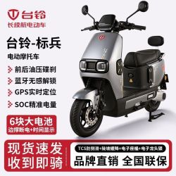 台铃 标兵 72V智能电动摩托 长续航电瓶车