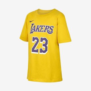 NBA Nike耐克洛杉矶湖人詹姆斯23号 大童青少年 篮球运动短袖T恤