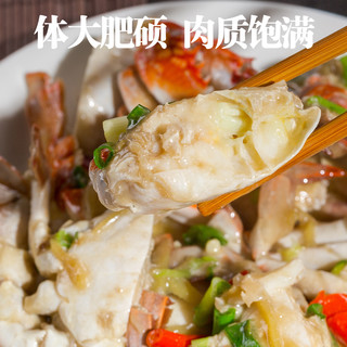 吕洞宾 东海野生梭子蟹 生鲜海螃蟹