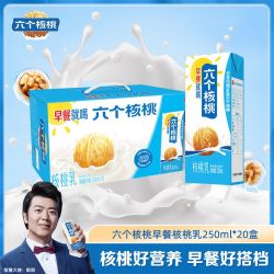 六个核桃 营养早餐 核桃乳