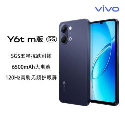 vivo Y6t m版 新品上市 6500mAH大电池 IP65防尘放水 拍照 5G 手机