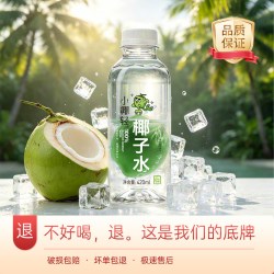 小椰轻 轻活力香椰水 368ml*6瓶