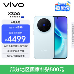 vivo X300 5G 手机 自在蓝 12GB 256GB