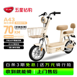 五星钻豹 长续航 电动自行车 燕麦棕
