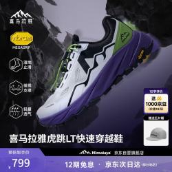 喜马拉雅 防滑耐磨 男士登山鞋 米色（男款） 43