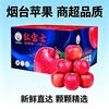 月亮妹妹 烟台红富士苹果