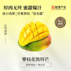 程意严选旗舰店新鲜芒果3斤