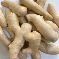 山东新鲜大姜超市生鲜蔬菜老姜即食水果生姜水洗净姜 山东大姜5斤带箱