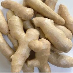 山东新鲜大姜超市生鲜蔬菜老姜即食水果生姜水洗净姜 山东大姜5斤带箱