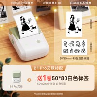 精臣 B1Pro高清版照片打印机300dpi家用小型动漫二次元相片手帐小卡图片简笔画手账贴纸家用手持ins图像打印机