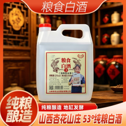 杏致壹号 53%vol 清香型高粱酒 2500ml