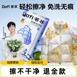 答菲 羽绒服清洁湿巾 便携 10片*1包