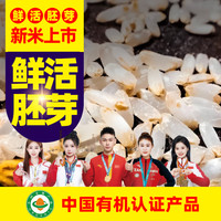 胚芽米胚芽米有机大米官方舰旗店大稻花香东北2025年新米寒地黑土