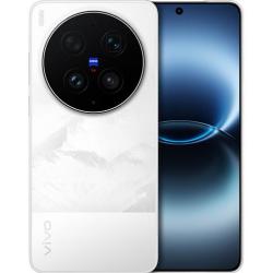 vivo X300 Ultra 蔡司大师镜头群 银调 12GB+256GB 手机