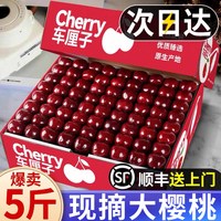 移动端：果天赐 山东烟台美早大樱桃 5斤 礼盒