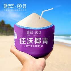 佳沃 泰国香水奶椰椰青 9个 800g~950g