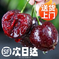 移动端：伊人之佳 特大果 车厘子