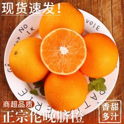 探味君 湖北 秭归伦晚脐橙 10斤