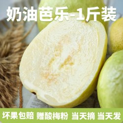福瑞达 冰淇淋口感 番石榴