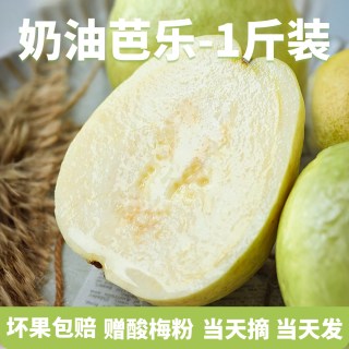 移动端：福瑞达 冰淇淋口感 番石榴