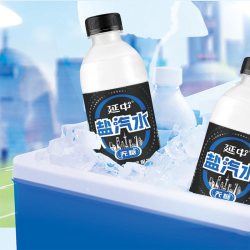 延中 无糖盐汽水 380ml*12瓶