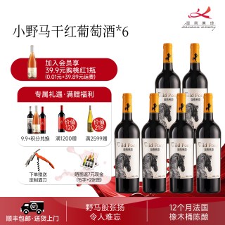 移动端：迦南美地 HELAN MOUNTAIN 贺兰山 迦南美地小野马赤霞珠美乐干红葡萄酒整箱6瓶2021年