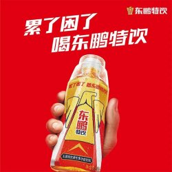 东鹏 特饮 维生素功能性饮料 500ml*12瓶