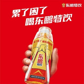 移动端：东鹏 特饮 维生素功能性饮料 500ml*12瓶