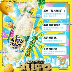 三得利 无糖葡萄柚柠檬汽水 500ml 瓶装