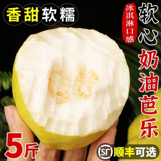 移动端：探味君 广东 奶油芭乐 3斤