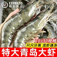 移动端：鲜驰 盐冻基围虾 海鲜水产