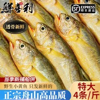移动端：鲜喜利 真正舟山小黄鱼新鲜冷冻深海海鲜水产黄花鱼生鲜冰鲜海鱼商用烧烤