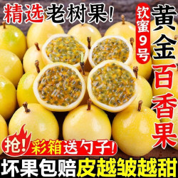 鲜呮 广西 黄金百香果 5斤特大果