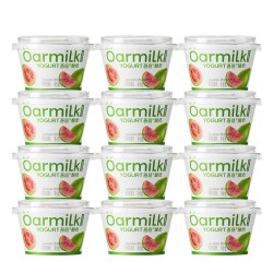 Oarmilk 吾岛无蔗糖酸奶 100g*12杯