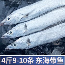 鲜起源 舟山海捕大带鱼 冷冻整条 4斤