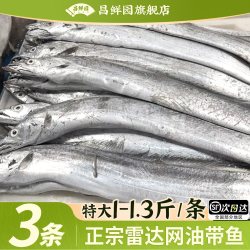 昌鲜园 带鱼整条舟山雷达网小眼睛油带新鲜鲜活冷冻海鲜东海水产非刀鱼