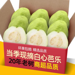 果乡趣 中国大陆 白心芭乐 1000g 箱装