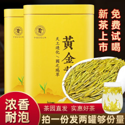 茗老汉 黄金芽 特级 50g 2罐