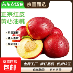 京东 山西黄肉油桃新鲜应季水果黄心桃子 带箱2斤中果 净重1.7斤（单果60g+）