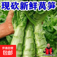 京喜 5斤自种老品种青笋莴苣莴笋批发新鲜莴笋应季蔬菜新鲜现砍现发 5斤 新鲜莴笋