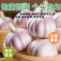 金乡大蒜 紫皮干蒜 5-5.5cm 1250g+ 葱姜蒜椒