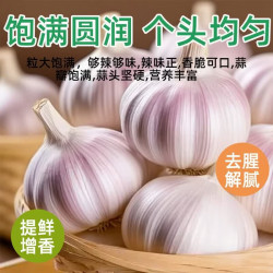 金乡大蒜 山东金乡紫皮干蒜 金乡大蒜 （5条装 净重1000g+）爆款赠姜250g 【5-5.5cm】