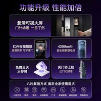 凯迪仕 Q6 3D人脸识别 智能锁