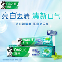 好来 经典双重薄荷清新双效牙膏 200g
