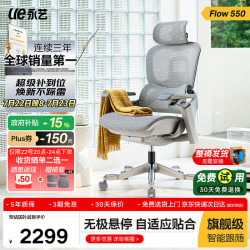 永艺 撑腰椅Flow530/550人体工学椅电脑椅办公老板椅午休椅子整椅 灰色-Flow550基础款-无搁脚