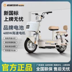 格林豪泰 小豆芽 新国标电动自行车 48V20Ah 铅酸电池