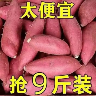 移动端：新鲜蜜薯9斤板栗红薯沙地糖心地瓜农家自种番薯板栗薯山芋甜蜜