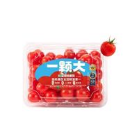 一颗大 低GI 生鲜 樱桃红番茄 458g *4-共(3斤6)