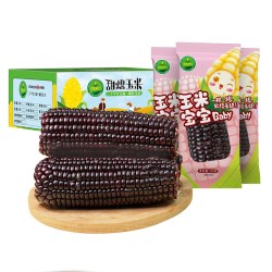 世际德力 黑玉米糯米新鲜黏糯玉米150g*10根