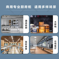海尔 SL-460D2S 全铜管全不锈钢 双门商用冰箱